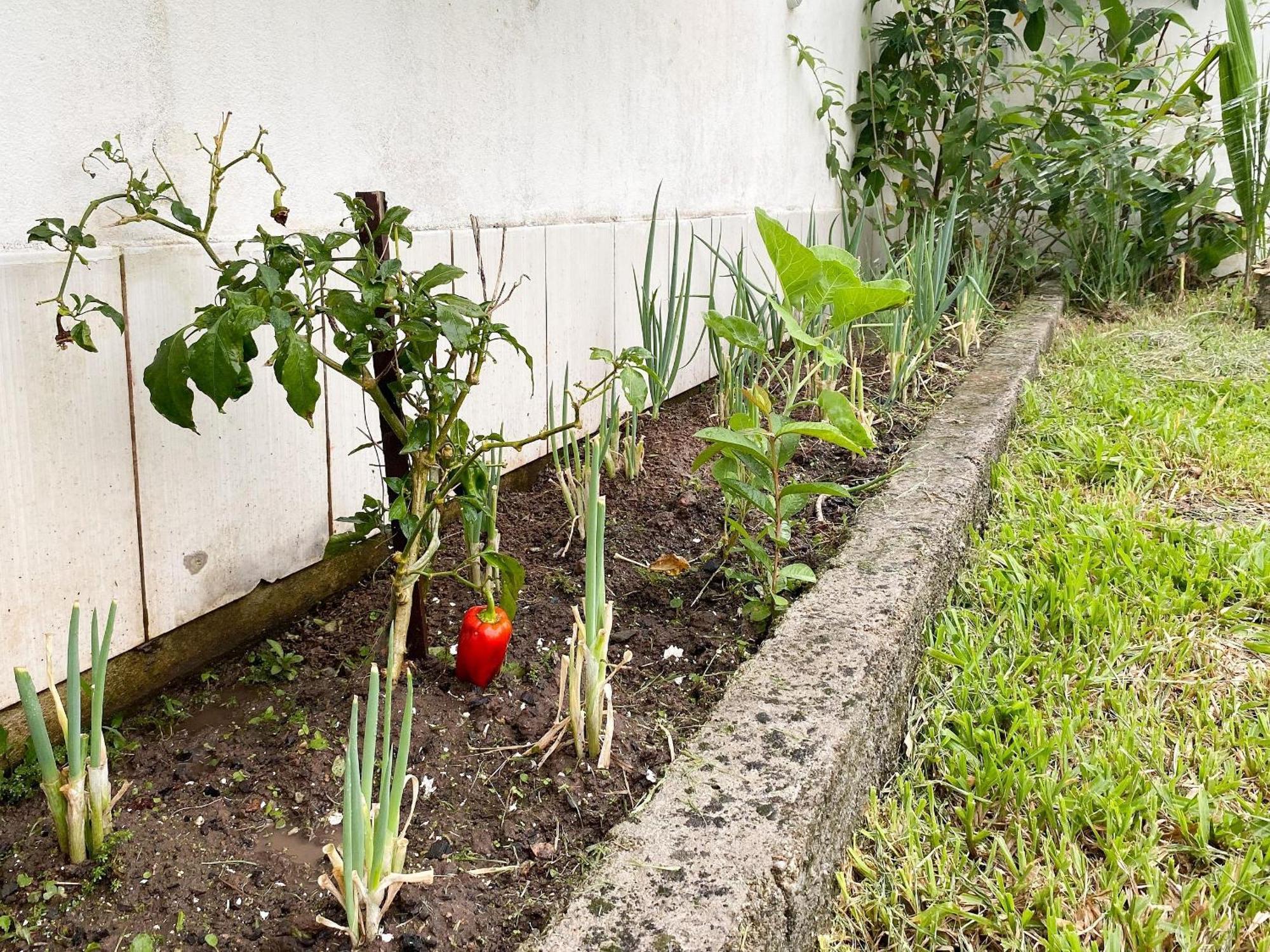 Residencial Verdes Mares Bombinhas Esterno foto